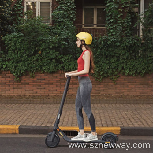 Xiaomi Segway Ninebot E25 Electric Kick Scooter